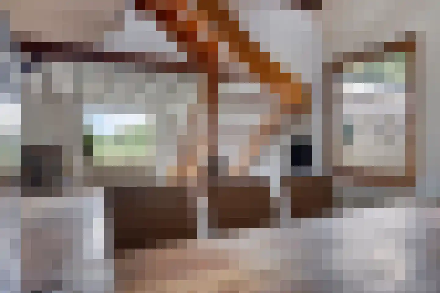 Stationsweg 95 Herkenbosch thumbnail 16
