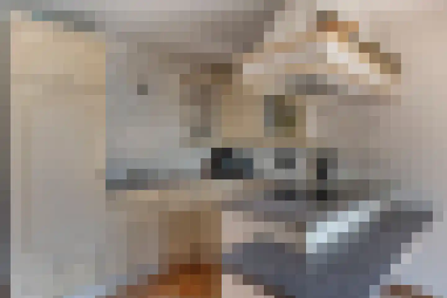 Stationsweg 95 Herkenbosch thumbnail 19