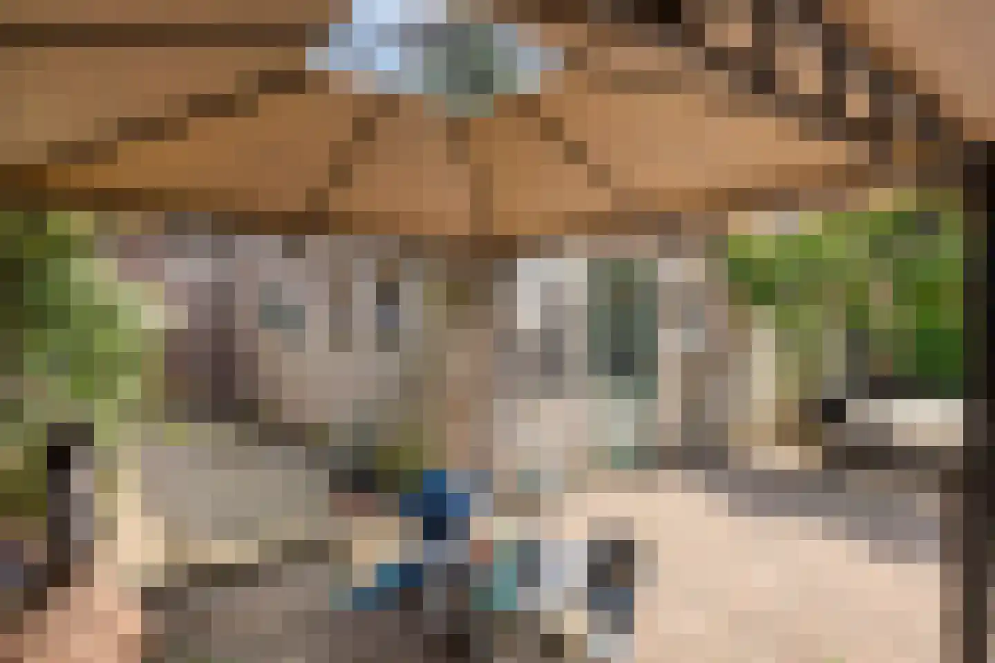 Stationsweg 95 Herkenbosch thumbnail 35