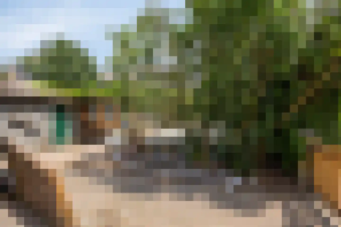 Stationsweg 95 Herkenbosch thumbnail 37