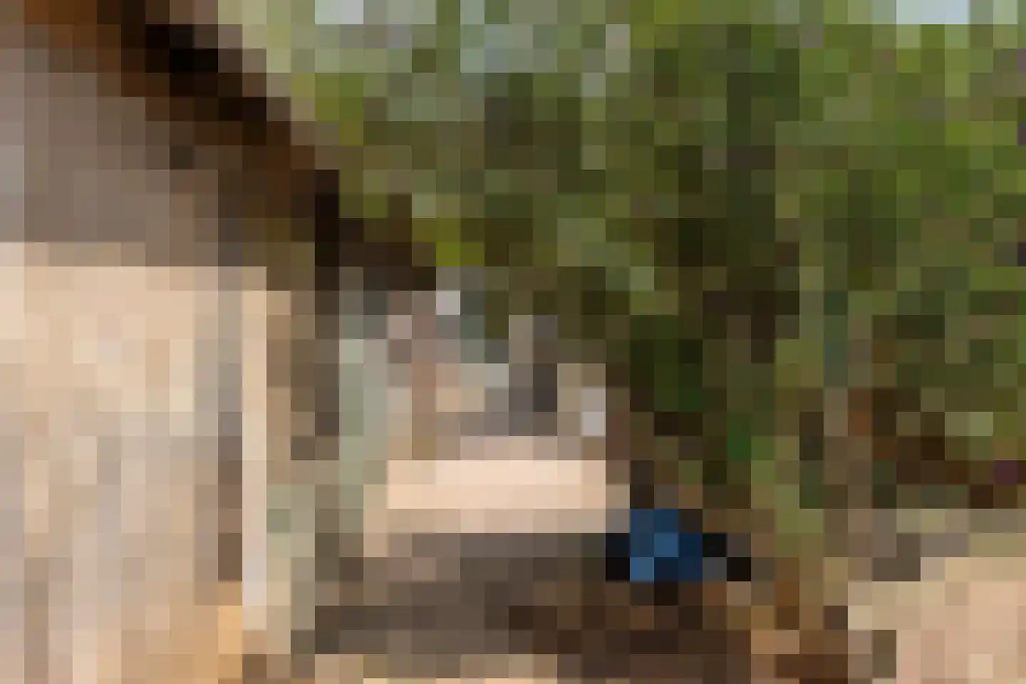 Stationsweg 95 Herkenbosch thumbnail 39