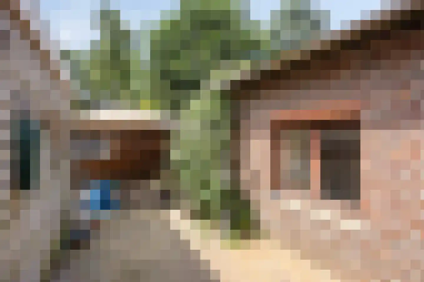 Stationsweg 95 Herkenbosch thumbnail 40