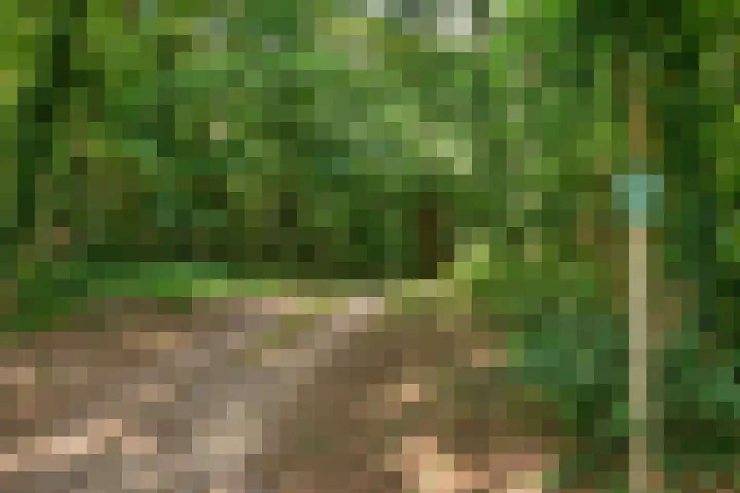 Stationsweg 95 Herkenbosch thumbnail 45