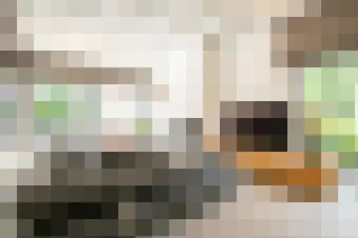 Stationsweg 96 Herkenbosch thumbnail 11
