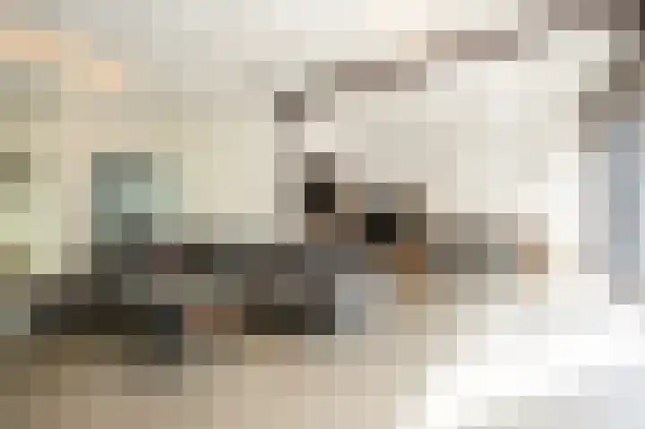 Stationsweg 96 Herkenbosch thumbnail 13
