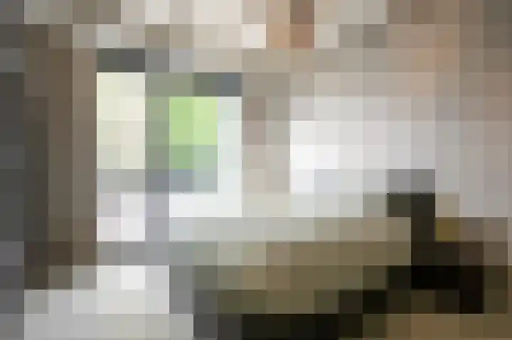 Stationsweg 96 Herkenbosch thumbnail 14