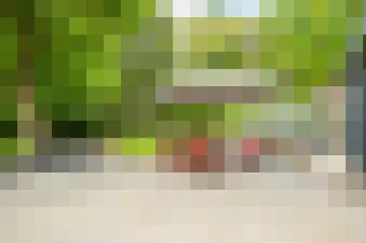 Stationsweg 96 Herkenbosch thumbnail 22