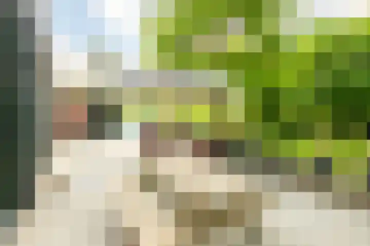 Stationsweg 96 Herkenbosch thumbnail 23