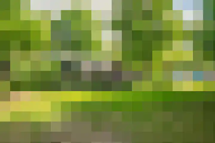Stationsweg 96 Herkenbosch thumbnail 24