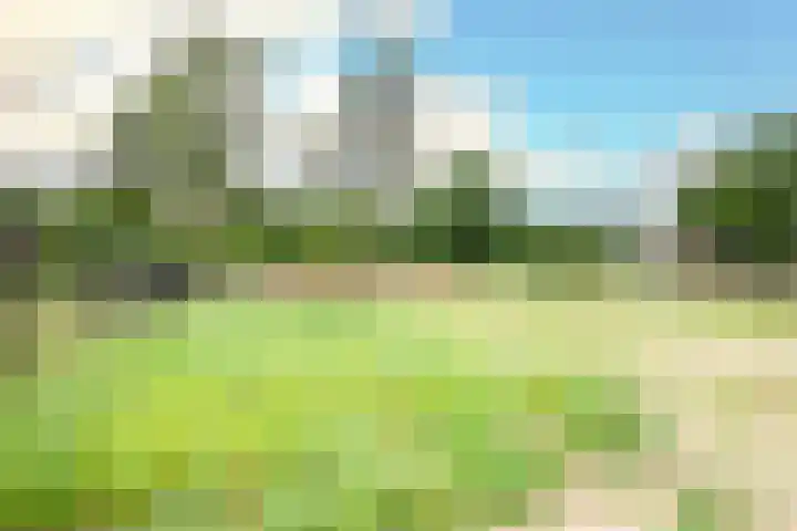 Stationsweg 96 Herkenbosch thumbnail 29