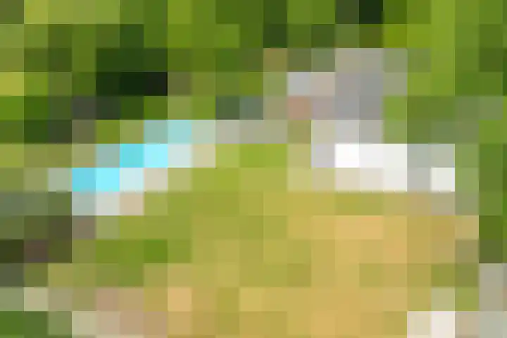 Stationsweg 96 Herkenbosch thumbnail 31