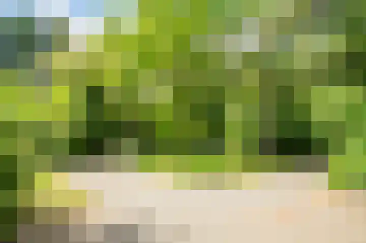 Stationsweg 96 Herkenbosch thumbnail 32