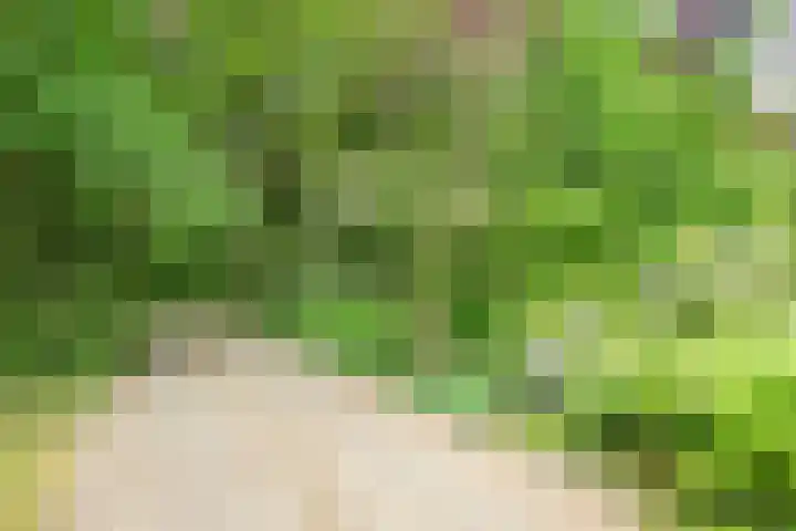 Stationsweg 96 Herkenbosch thumbnail 33