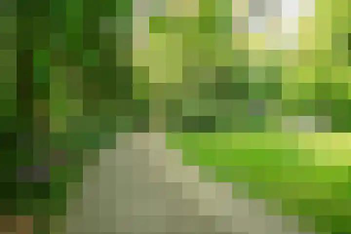 Stationsweg 96 Herkenbosch thumbnail 34