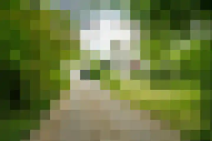 Stationsweg 96 Herkenbosch thumbnail 35