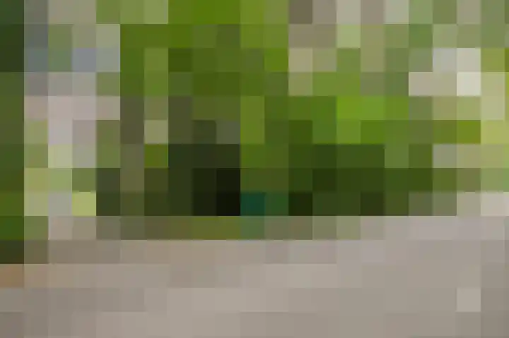 Stationsweg 96 Herkenbosch thumbnail 36