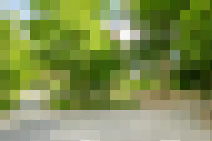 Stationsweg 96 Herkenbosch thumbnail 37
