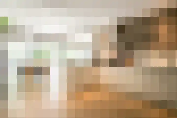 Stationsweg 96 Herkenbosch thumbnail 4