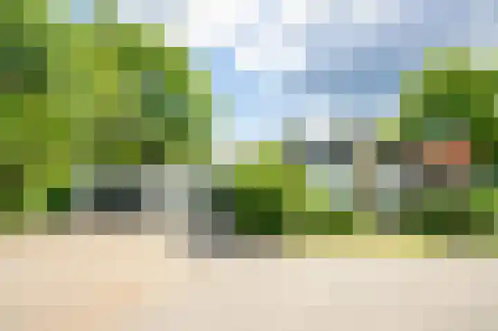 Stationsweg 96 Herkenbosch thumbnail 41