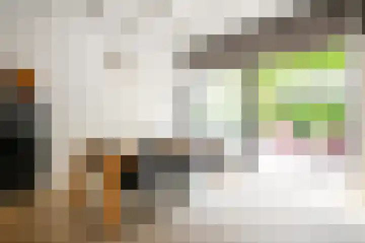 Stationsweg 96 Herkenbosch thumbnail 6