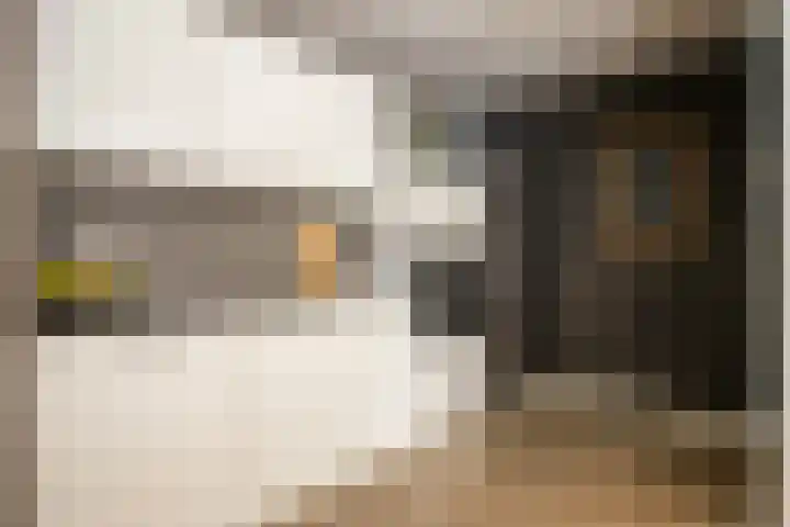 Stationsweg 96 Herkenbosch thumbnail 8