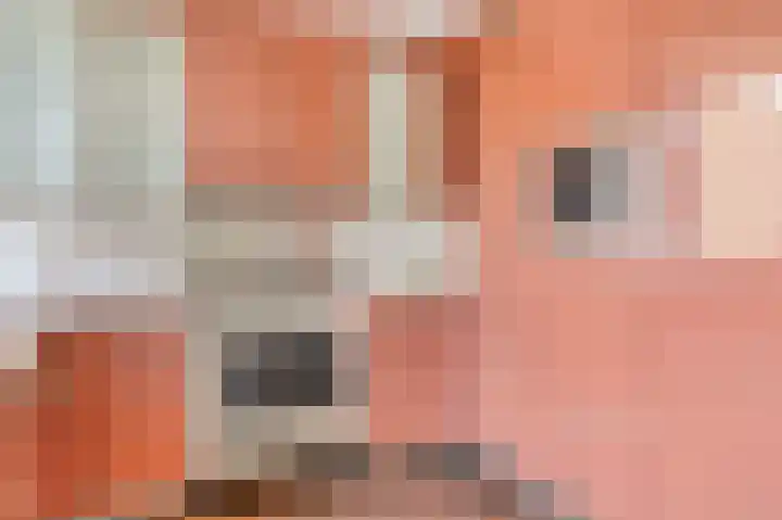 Stationsweg 96 Hoek van Holland thumbnail 15