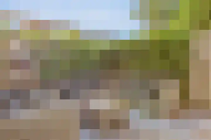 Stationsweg 96 Hoek van Holland thumbnail 38