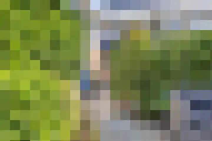 Stationsweg 96 Hoek van Holland thumbnail 39