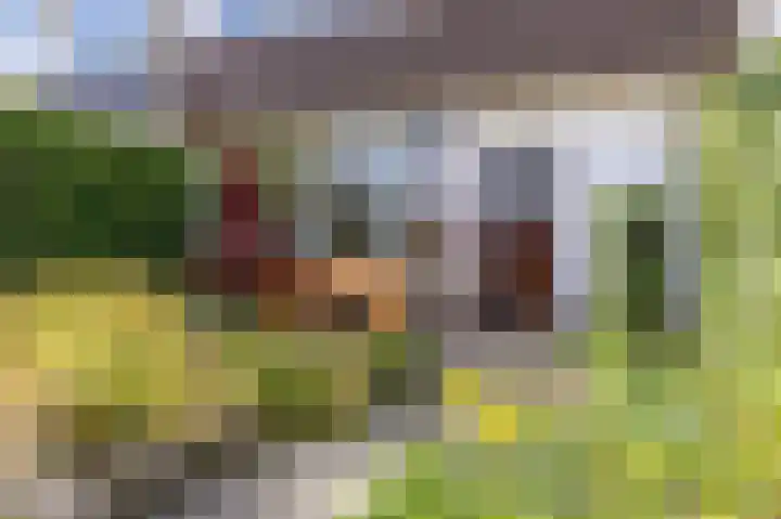 Stationsweg 96 Hoek van Holland thumbnail 8