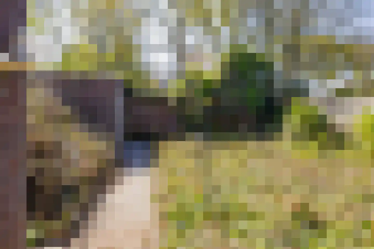 Stationsweg 97 Velsen-Zuid thumbnail 22