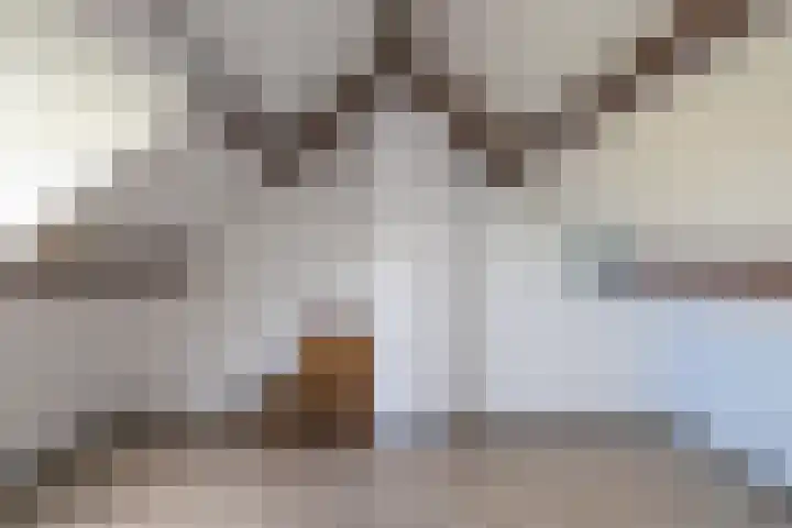Stationsweg 98 A Hillegom thumbnail 27