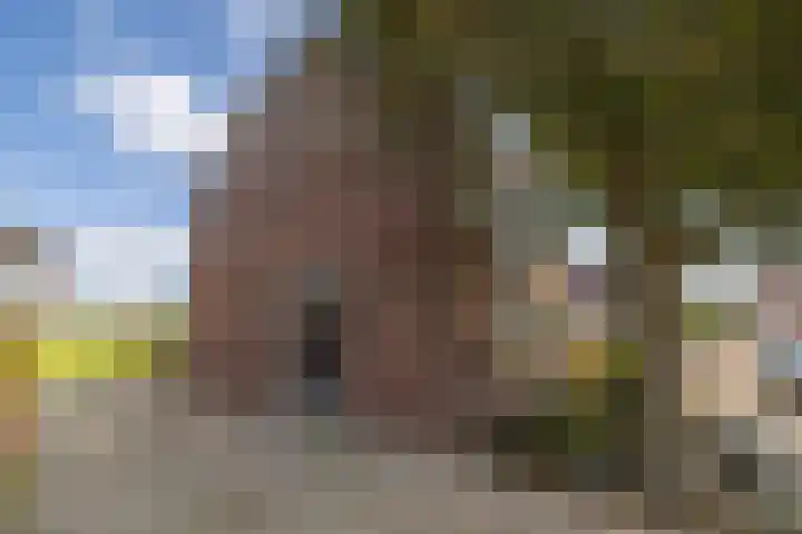 Stationsweg 98 A Hillegom thumbnail 28