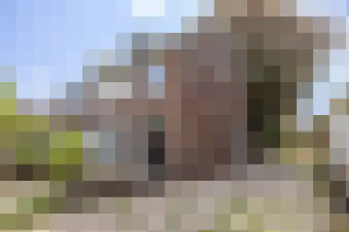 Stationsweg 98 A Hillegom thumbnail 29