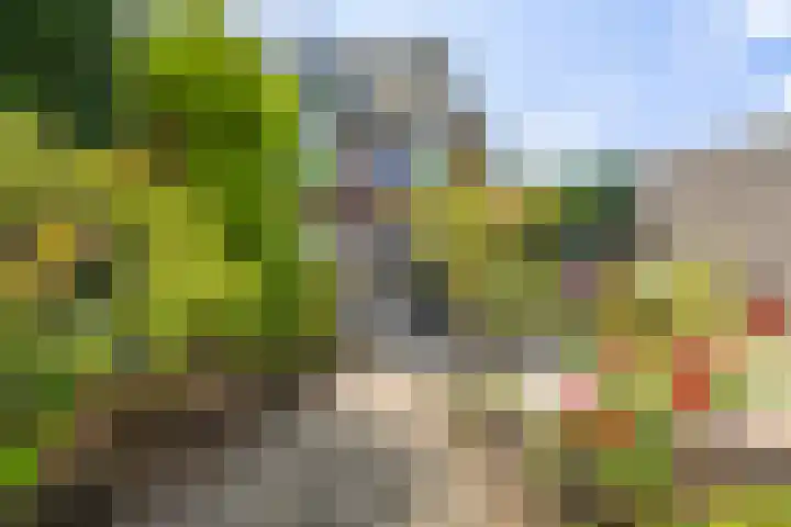 Stationsweg 98 A Hillegom thumbnail 32
