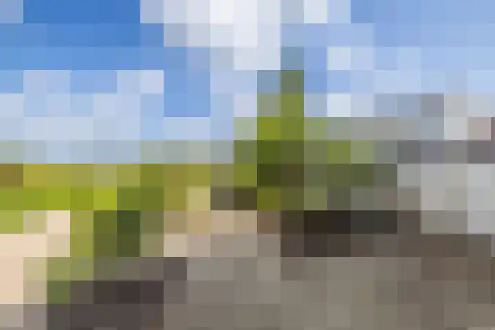 Stationsweg 98 A Hillegom thumbnail 33