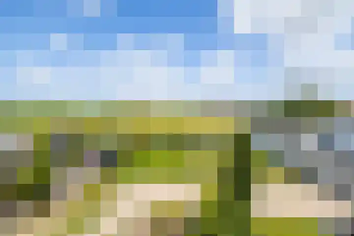 Stationsweg 98 A Hillegom thumbnail 35