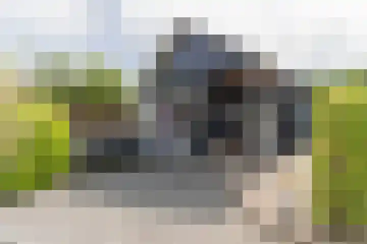Stationsweg 98 Barendrecht thumbnail 38