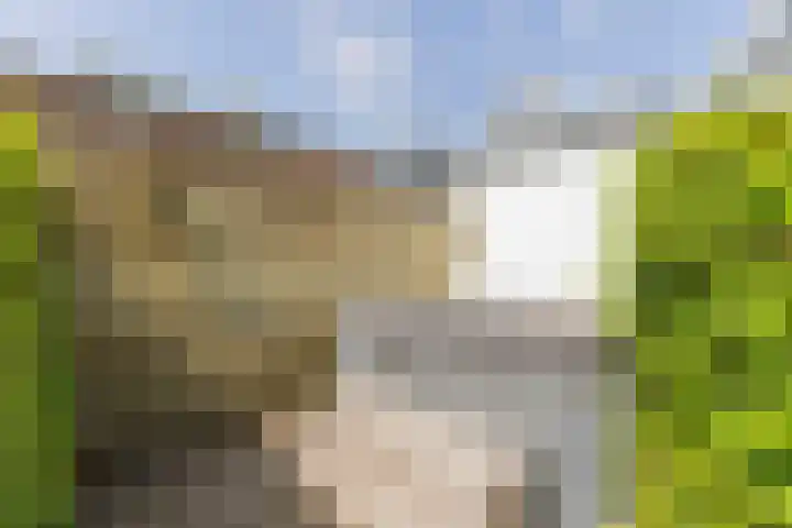 Stationsweg 98 Barendrecht thumbnail 40