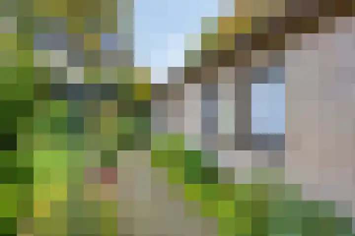 Stationsweg 98 Budel-Dorplein thumbnail 23