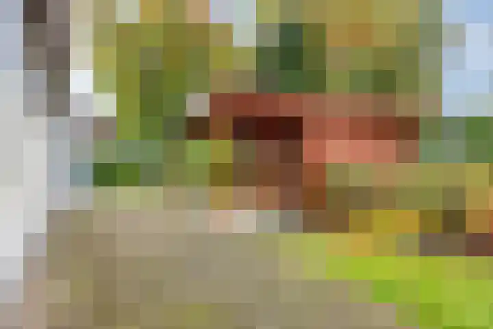 Stationsweg 98 Budel-Dorplein thumbnail 25