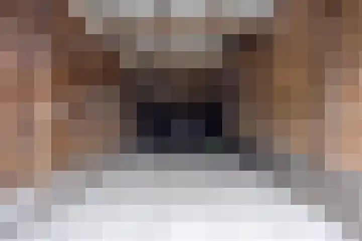 Stationsweg 98 Budel-Dorplein thumbnail 27