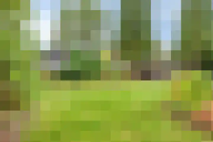 Stationsweg 98 Budel-Dorplein thumbnail 29