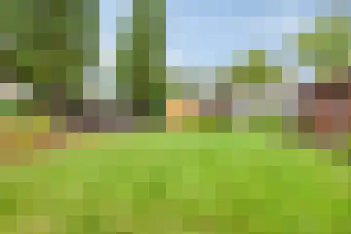 Stationsweg 98 Budel-Dorplein thumbnail 31