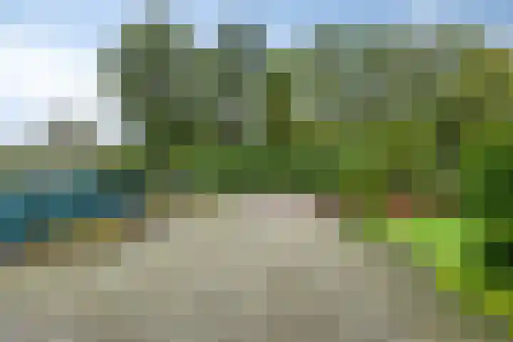 Stationsweg 98 Budel-Dorplein thumbnail 32