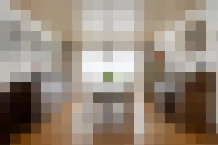 Stationsweg 98 Budel-Dorplein thumbnail 4