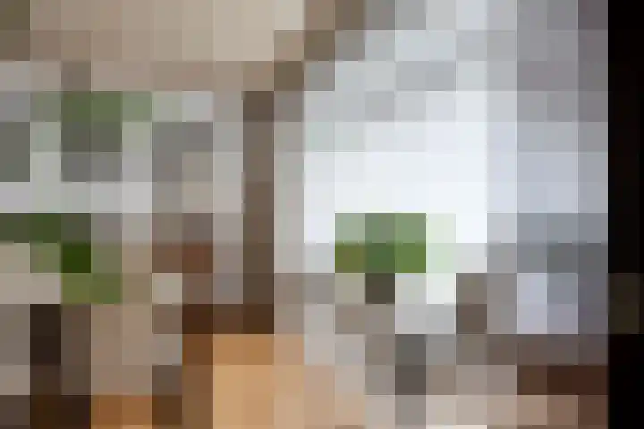 Stationsweg 98 Budel-Dorplein thumbnail 5