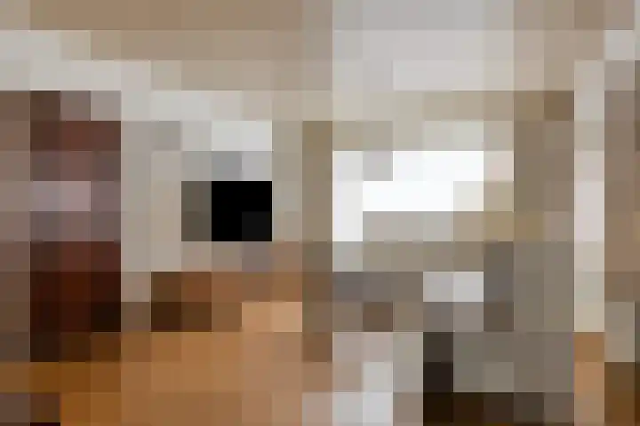 Stationsweg 98 Budel-Dorplein thumbnail 6