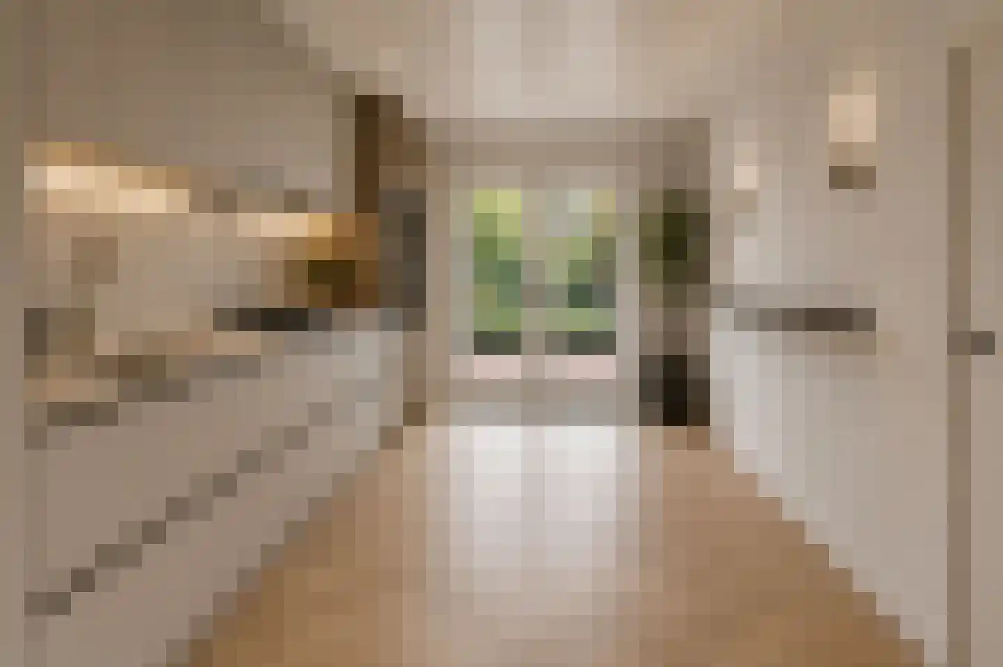 Stationsweg 98 Herkenbosch thumbnail 15