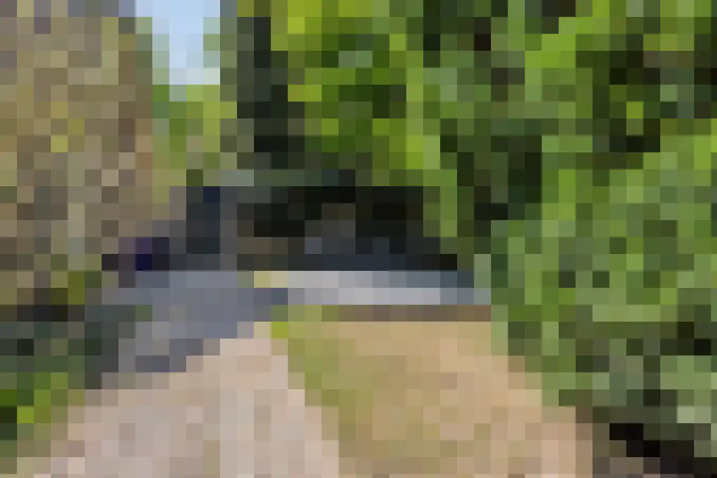 Stationsweg 98 Herkenbosch thumbnail 22