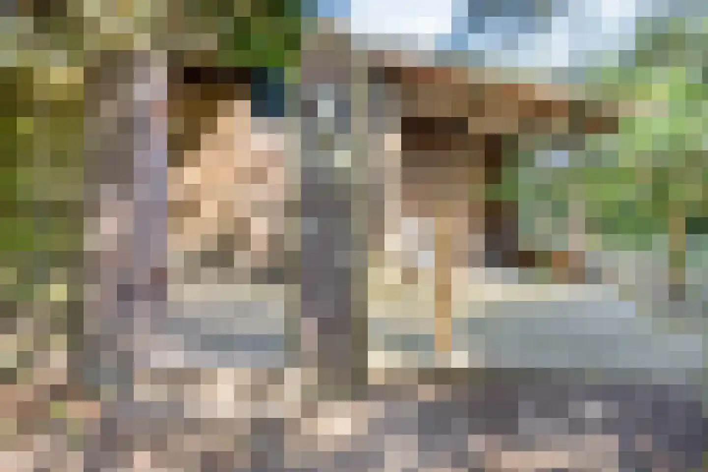 Stationsweg 98 Herkenbosch thumbnail 25